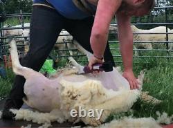 Cordless Sheep Clipper Masterclip HD Roamer with A2 Livestock blade FREE P&P