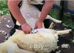 Cordless Sheep Clipper Masterclip HD Roamer with A2 Livestock blade FREE P&P