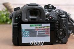 Panasonic LUMIX GH4 16MP Professional 4K Mirrorless Camera withBattery & Charger